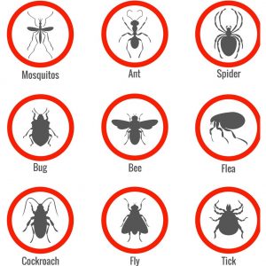 pest-and-insect-control-icons-set-vector-6678605